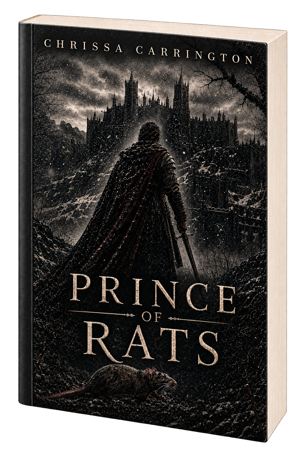 Prince of Rats paperback book mockup